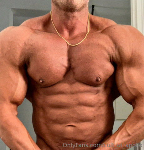 cult of apollo top model galleries