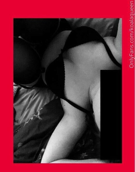 Bailey Grey star art images