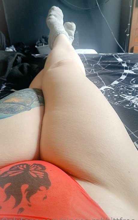 ginger rabbittfree pretty star photos