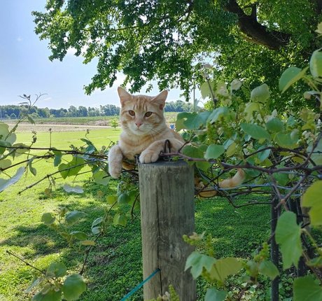 theladylayla high quality actress img