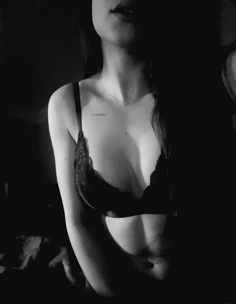 cerenbal free perfect model photos