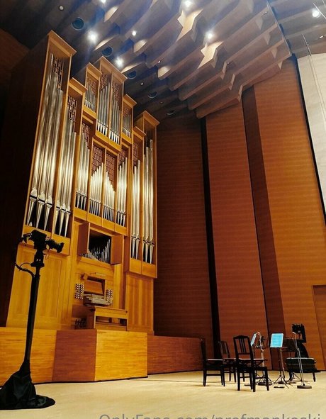 profmankoski star xxx image