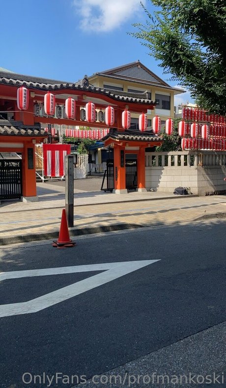 profmankoski star adult picture