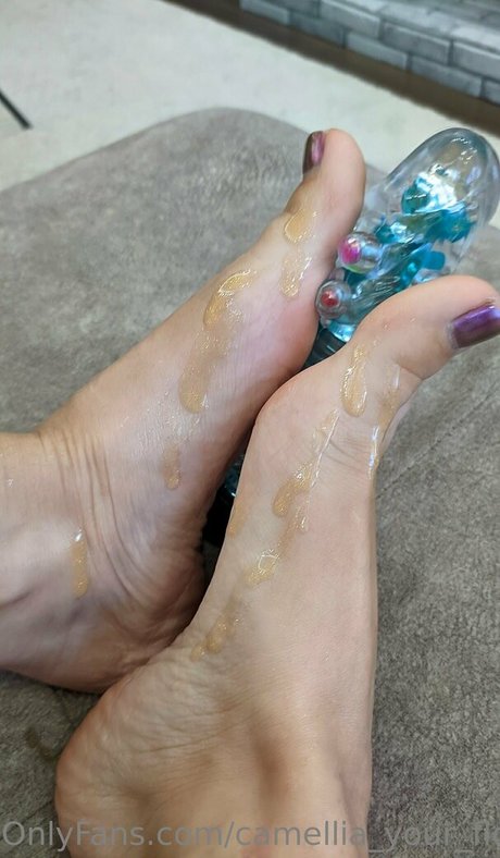 camellia home star exclusive pic