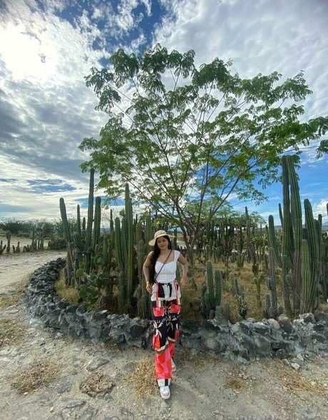 suuuuuki pornstar archive