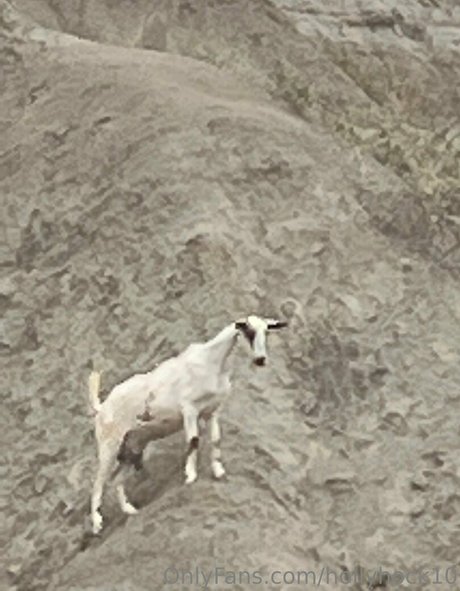 suuuuuki nice pornstar picture