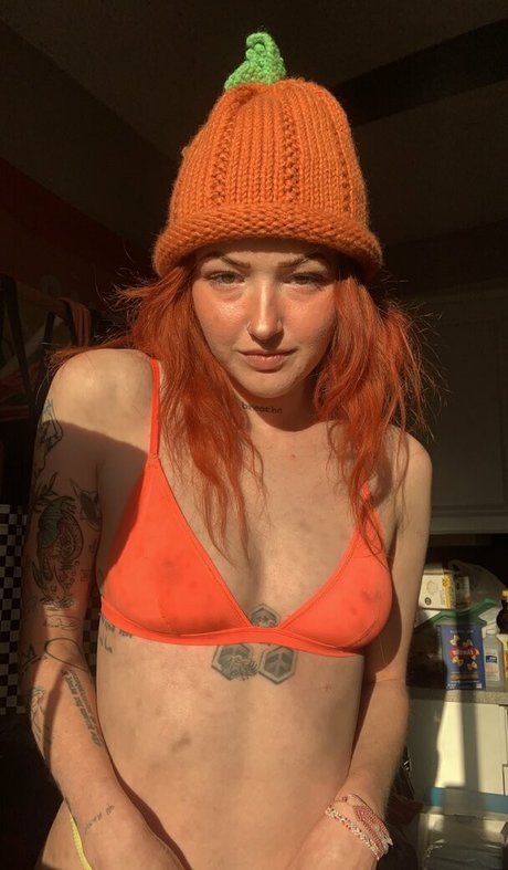 Indoor wilding star top img