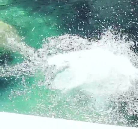 blonde creampie onlyfans naked archive