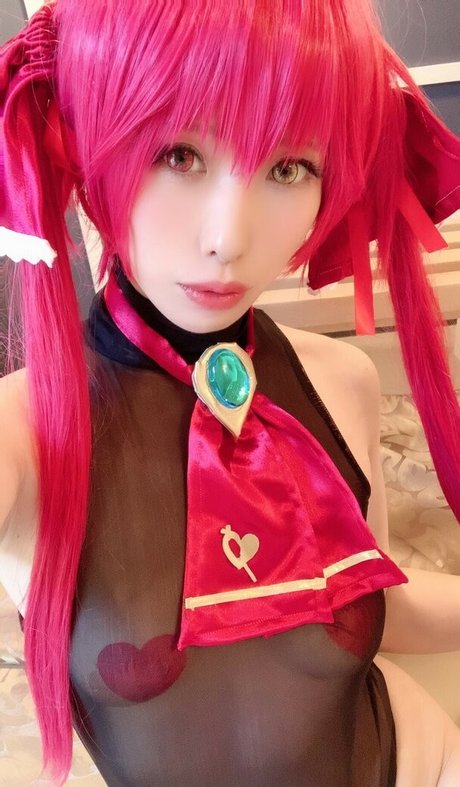 Glossy Rabbit star nice images