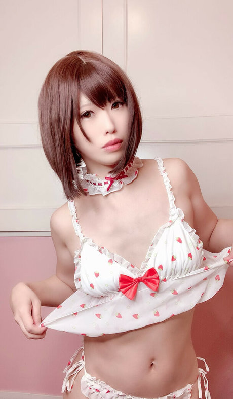 Glossy Rabbit star high quality pictures