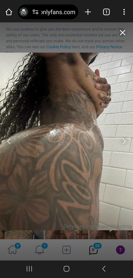 luvenchanting pornstar art gallery