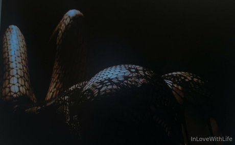 arab blowjob onlyfans porn photos