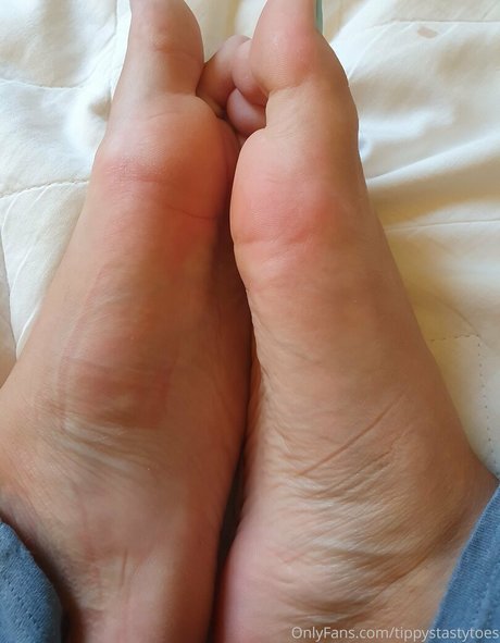 tippystastytoes pornstar sexy archive