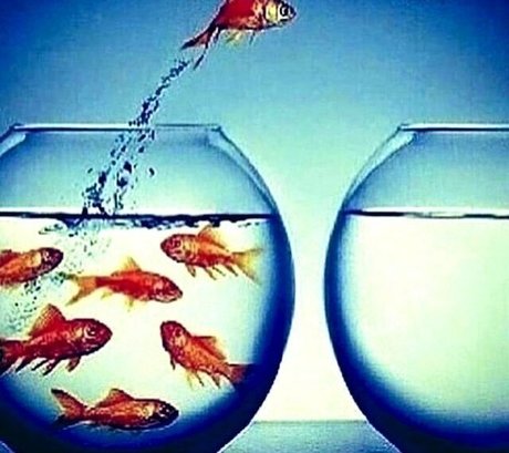 Kendall Jenner Ai Porn model perfect image