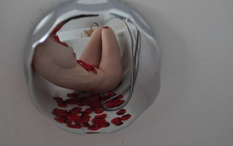 GroovyFlowerGirl beautiful pornstar image