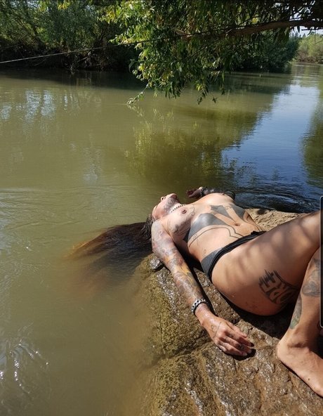 Bar Shachar best star images