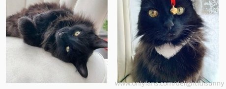 cutieblonde18 pornstar xxx image