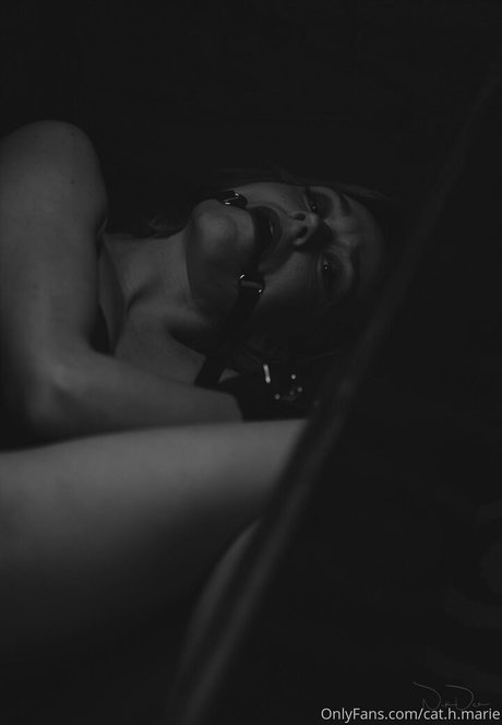 cat h marie top pornstar pic
