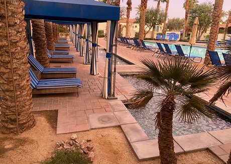 lilrosiedoll adult actress image