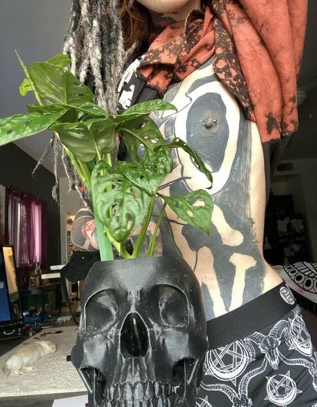 kota morgue model nudes galleries