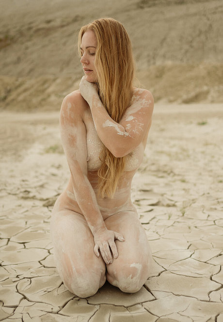 Ciliebutterfly model top image