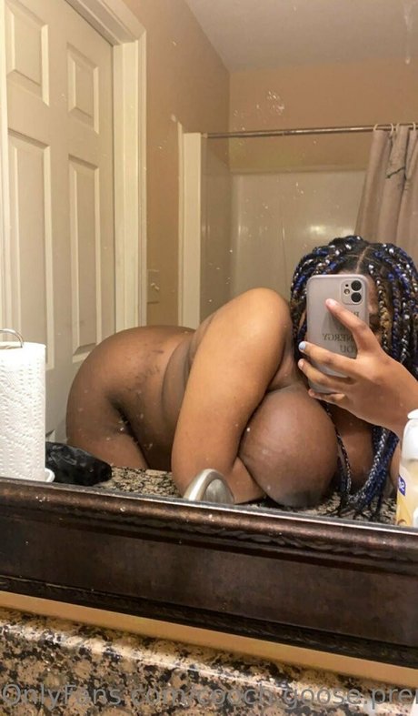 cooch goose premium top star picture