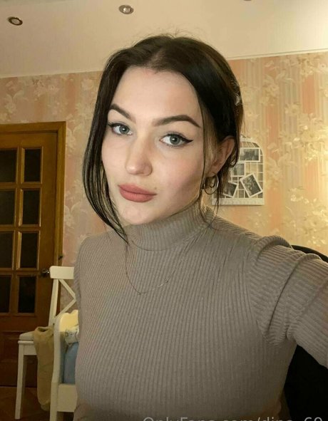 dina 69 high quality model pic