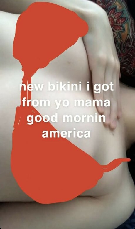 Havlcv best model img