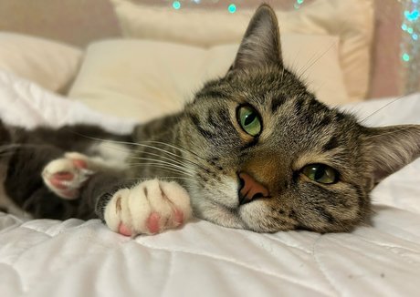 fingering pussy onlyfans art nude img