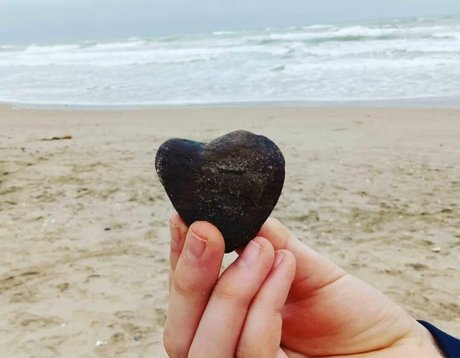 natuvic free pornstar hot galleries