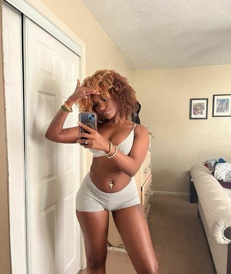 xo rocky ox7 star exclusive img