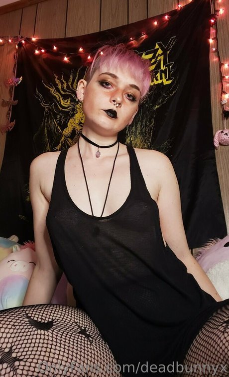 deadbunnyx top star image