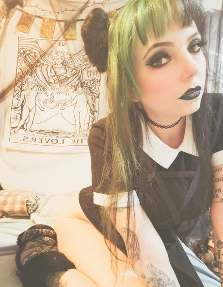 lavender bloodlust free star high quality photos