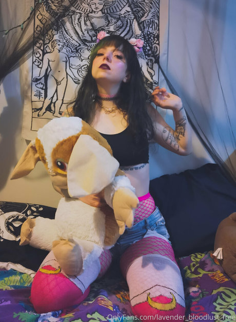 lavender bloodlust free top star galleries