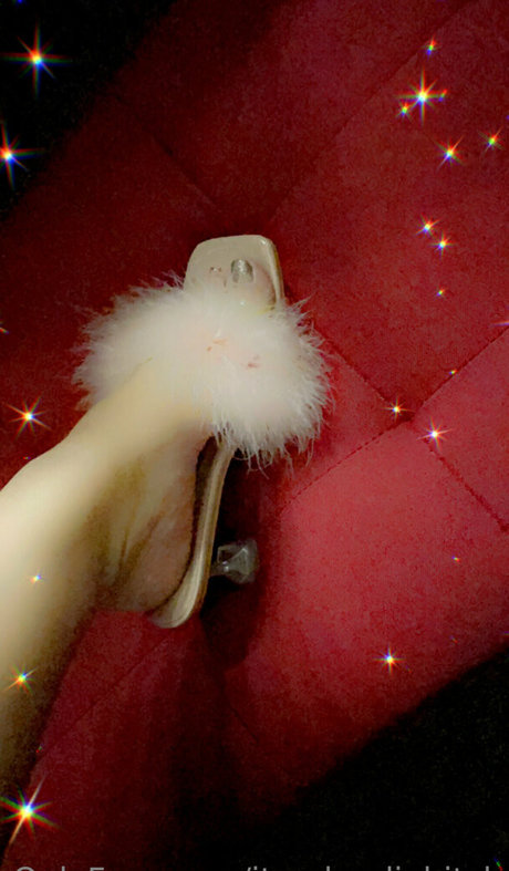 its claudiabitch hd star galleries