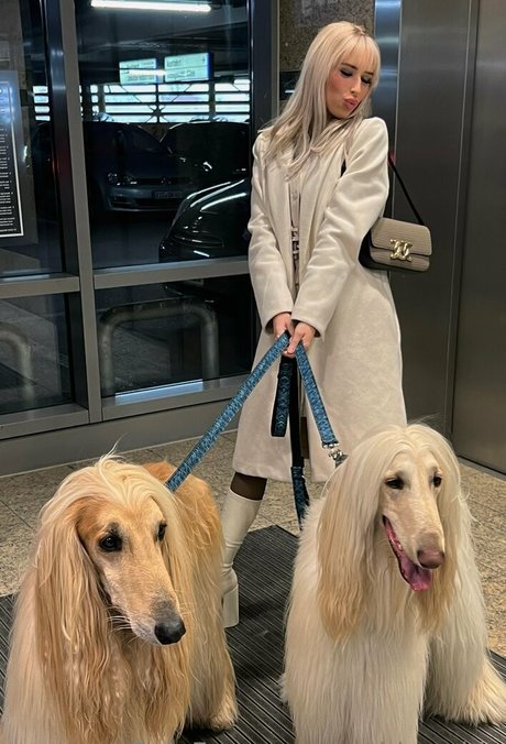 barbies side star art picture