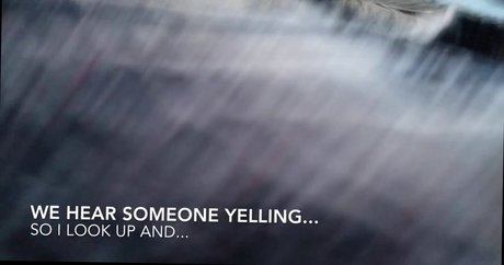 Wildflowerem star perfect img