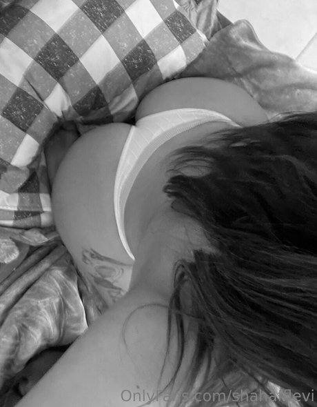 Shahaf Levi naked pornstar image