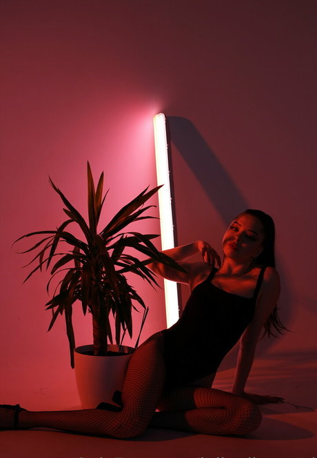 porn star onlyfans free porn galleries