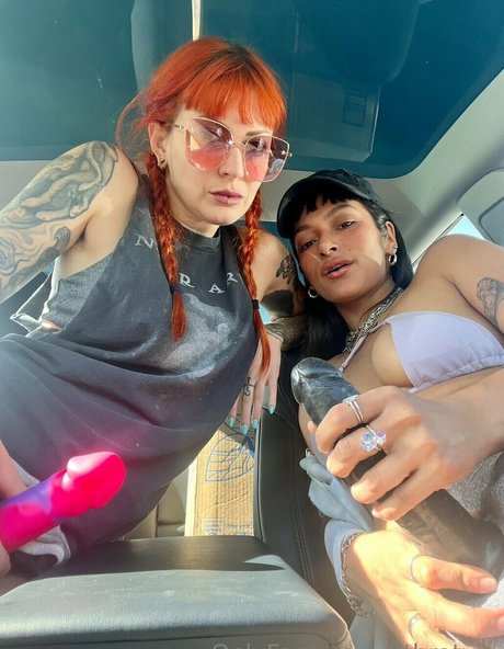 fitbratvip star nude gallery