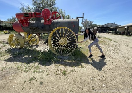 vivaathena free star pictures