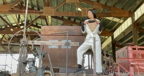 vivaathena star perfect galleries