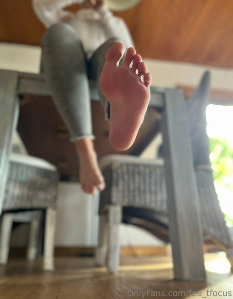 fee tfocus top pornstar photo