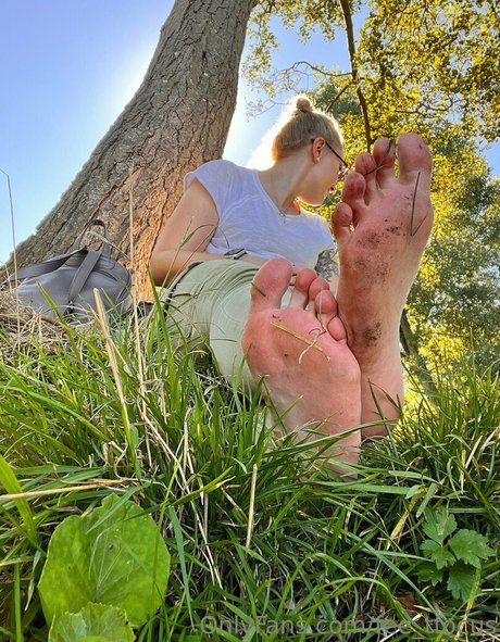 fee tfocus model hd image