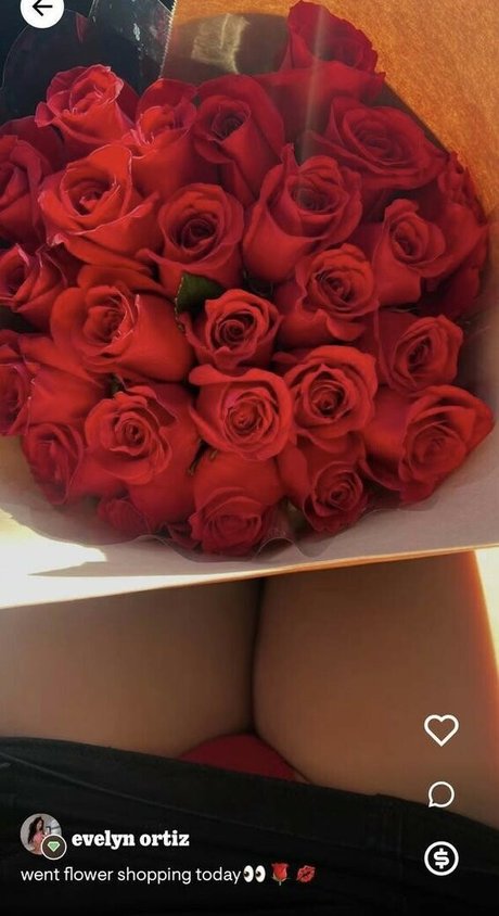 Evelyn Ortiz pornstar sexy images