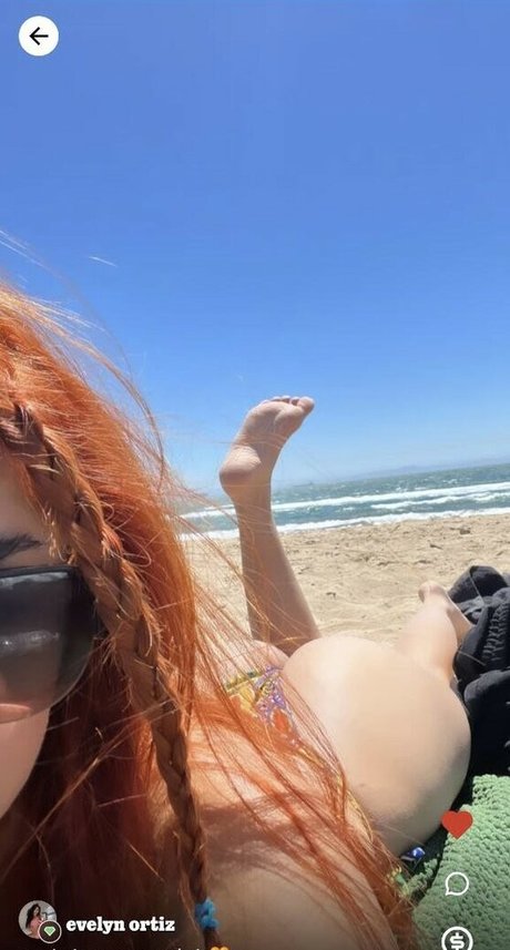 Evelyn Ortiz free pornstar gallery