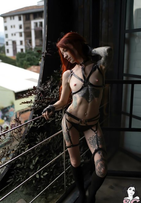 zarawolf adult actress picture