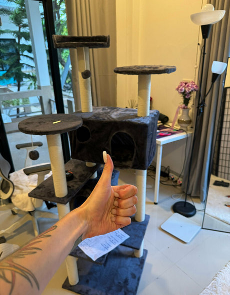 iamvirtuallady star porn gallery