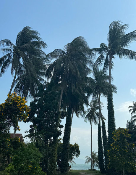 anal orgasm onlyfans porno galleries