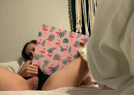 littlesadiespade art star gallery